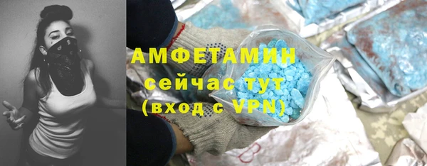 МДПВ Ельня