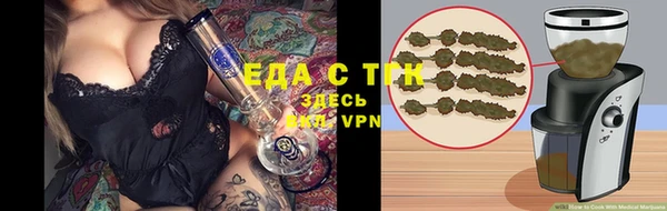 МДПВ Ельня