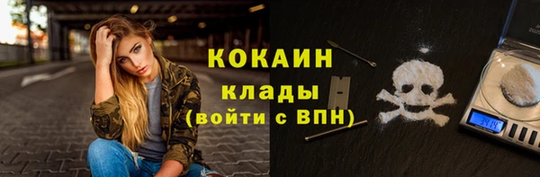 МДПВ Ельня