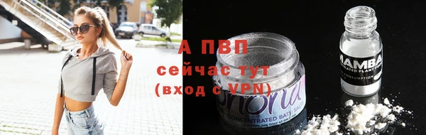 МДПВ Ельня