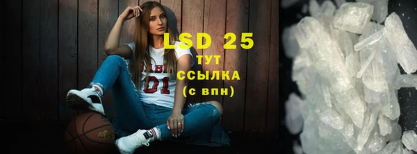МДПВ Ельня