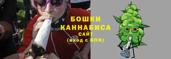 хмурый Елизово