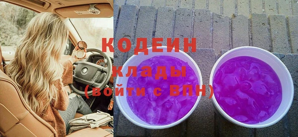 МДПВ Ельня