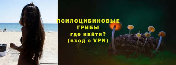 хмурый Елизово