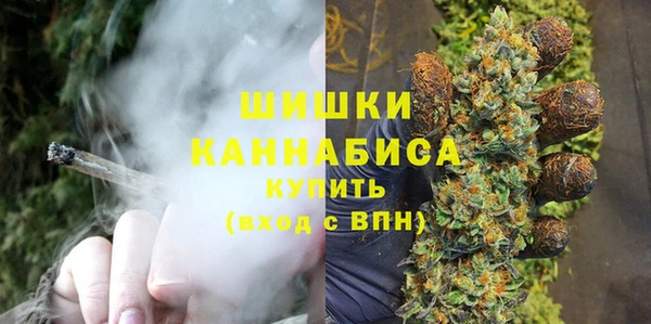 хмурый Елизово