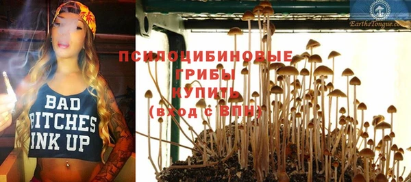 мескалин Елабуга