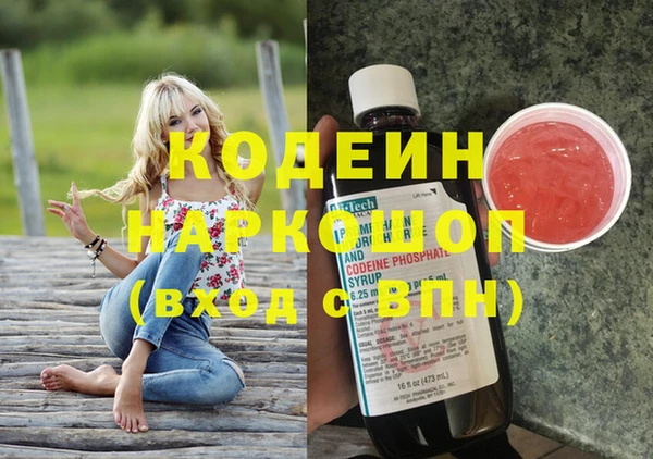 хмурый Елизово