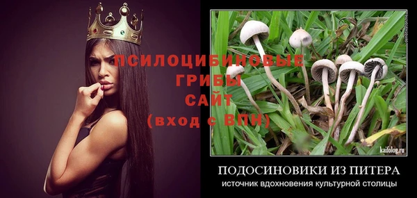 мескалин Елабуга