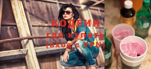 МДПВ Ельня