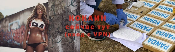 МДПВ Ельня
