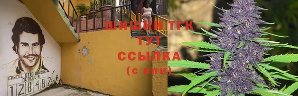 мескалин Елабуга