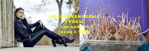МДПВ Ельня