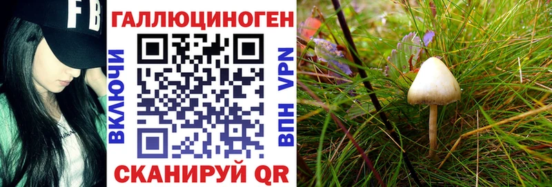 Псилоцибиновые грибы Cubensis  Купить где  Кандалакша 